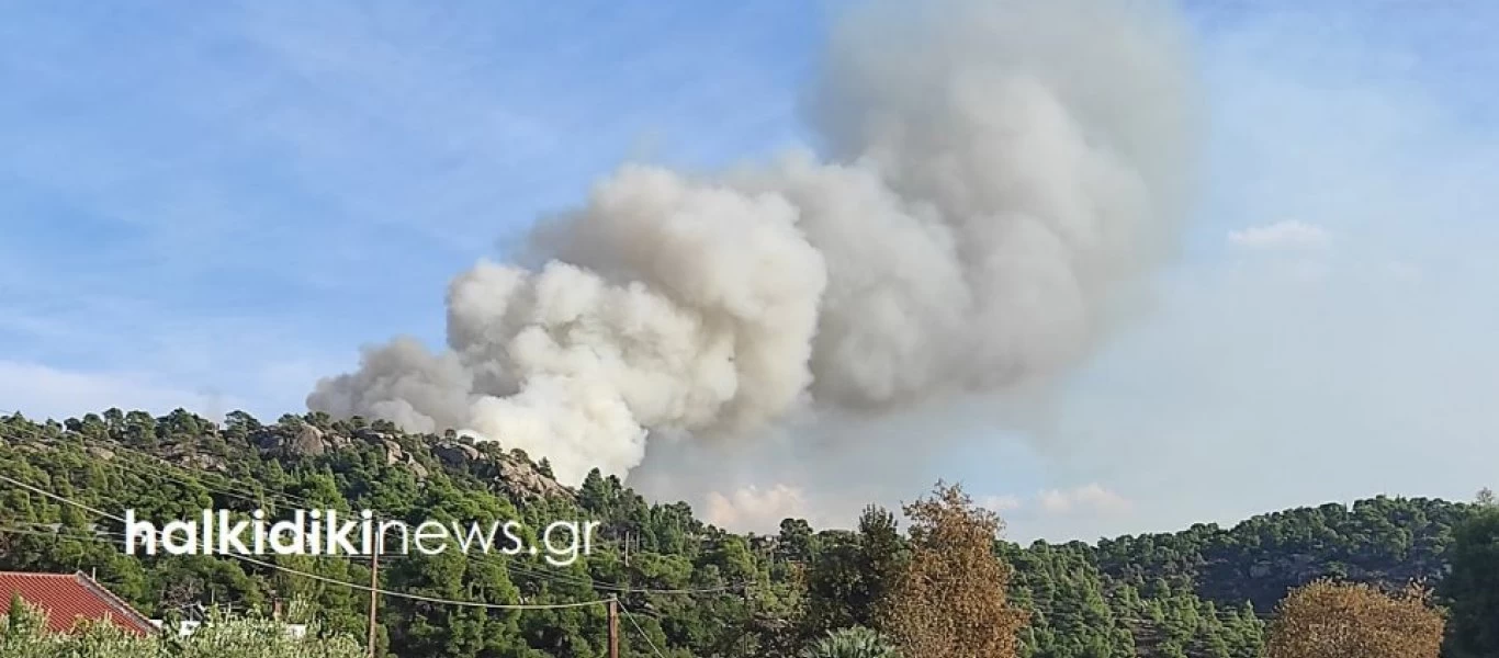 Χωρίς ενεργά μέτωπα η φωτιά σε πευκοδάσος στη Χαλκιδική
